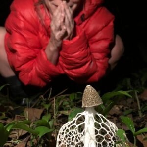 624459b2-66e9-4dee-aebc-67699670a30e 624459b2-66e9-4dee-aebc-67699670a30e