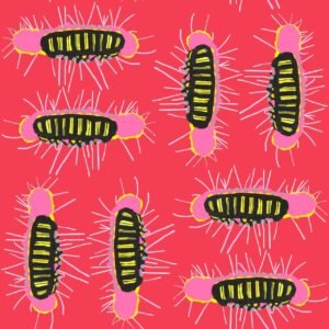 98d3041e-200d-417d-aba5-473d840dc5d2 98d3041e-200d-417d-aba5-473d840dc5d2