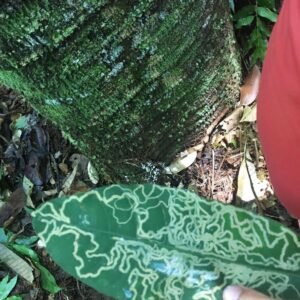 A765BA9C-EFC5-4BEC-A3AC-32D38B5B709E A765BA9C-EFC5-4BEC-A3AC-32D38B5B709E