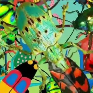 ac7beb5e-942b-42f4-b387-dd05a4cfb068 ac7beb5e-942b-42f4-b387-dd05a4cfb068