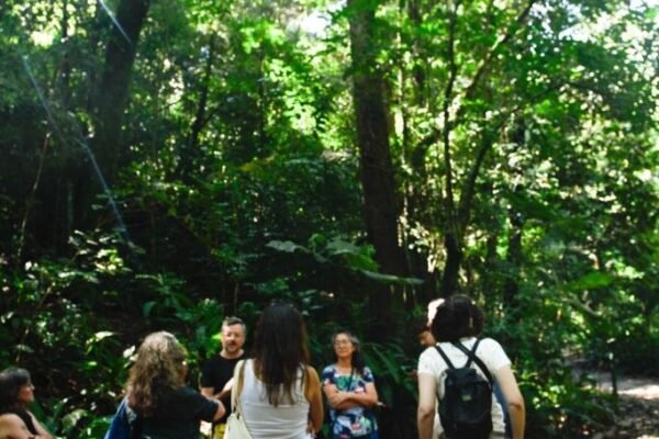 Caminhada Selvagem - fotos por Juliana Lewcowicz (20)