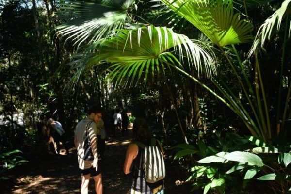 Caminhada Selvagem - fotos por Juliana Lewcowicz (37)