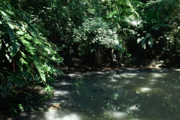 Caminhada Selvagem - fotos por Juliana Lewcowicz (5)