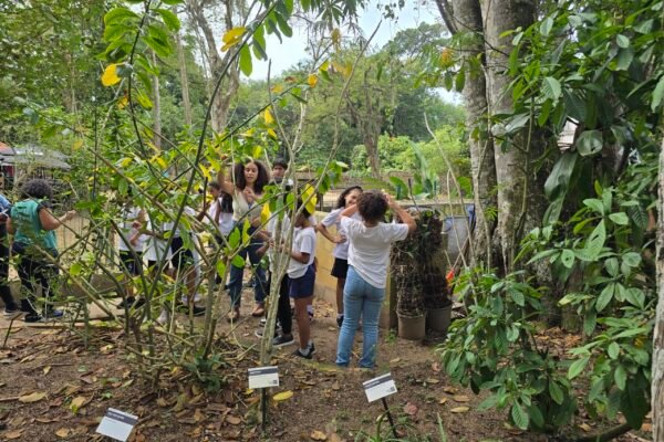 20250829_113505 20250829_113505