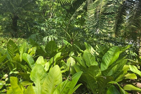 20250919_100911 20250919_100911