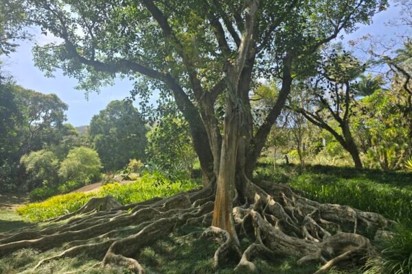 20250919_101549 20250919_101549