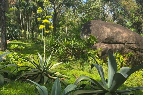 20250919_101956 20250919_101956