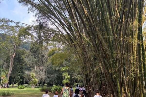 IMG-20250829-WA0044 IMG-20250829-WA0044