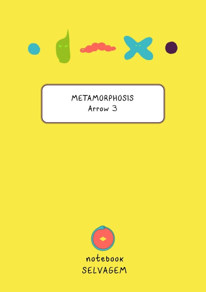 NOTEBOOK_30_FLECHA_3_EN-1