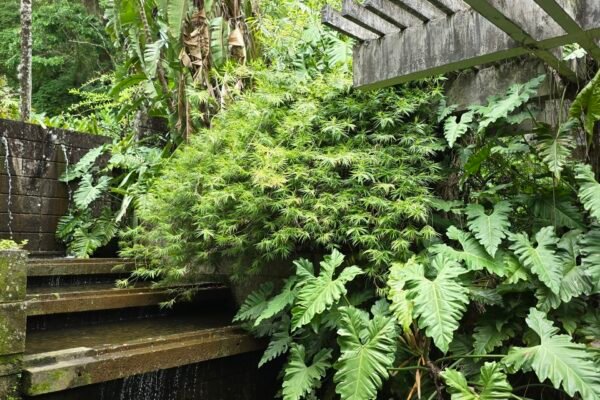 20251127_112418 20251127_112418