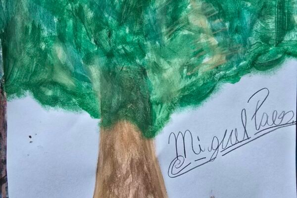 20251127_134016 20251127_134016