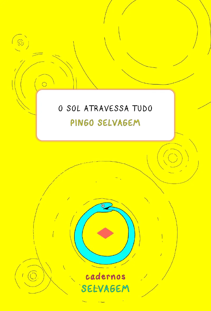 O Sol Atravessa Tudo – Pingo Selvagem
