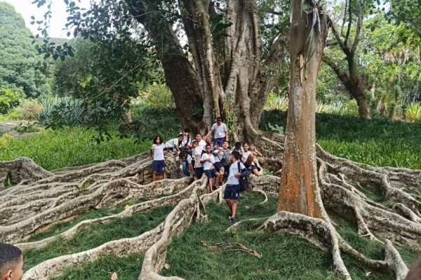 IMG-20251127-WA0034 IMG-20251127-WA0034