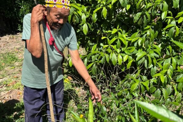 WhatsApp Image 2025-11-08 at 15.43.57 (1) (1)