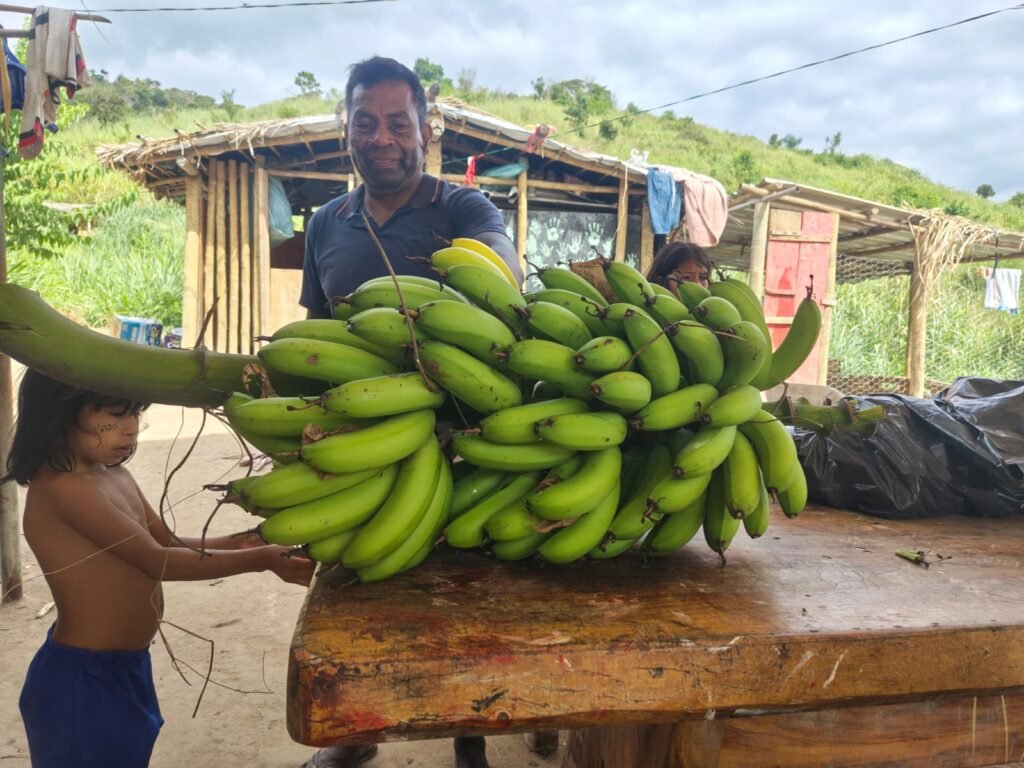 bananas maxakali
