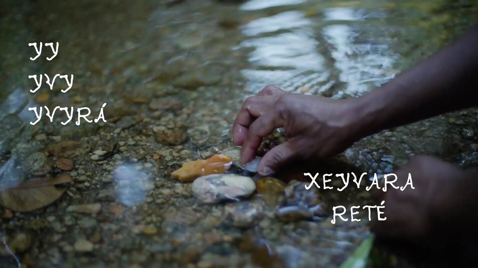 video preview